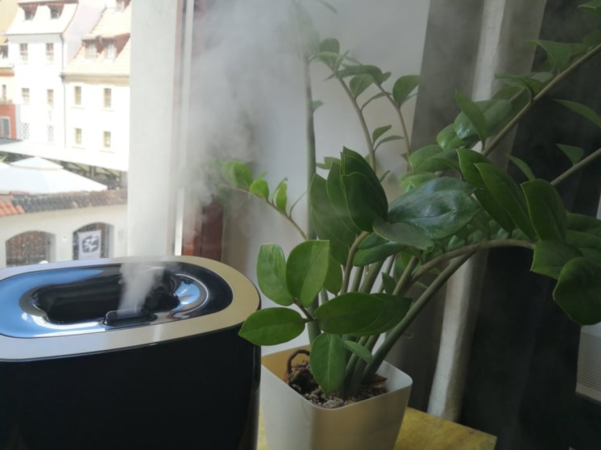 ultradźwiękowy nawilżacz powietrza na parapecie obok kwiatka