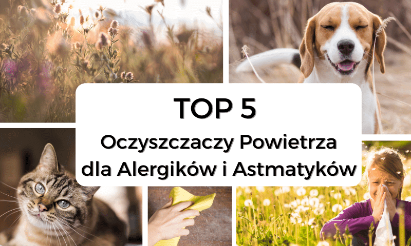 Top 5 oczyszczaczy powietrza dla alergików i astmatyków
