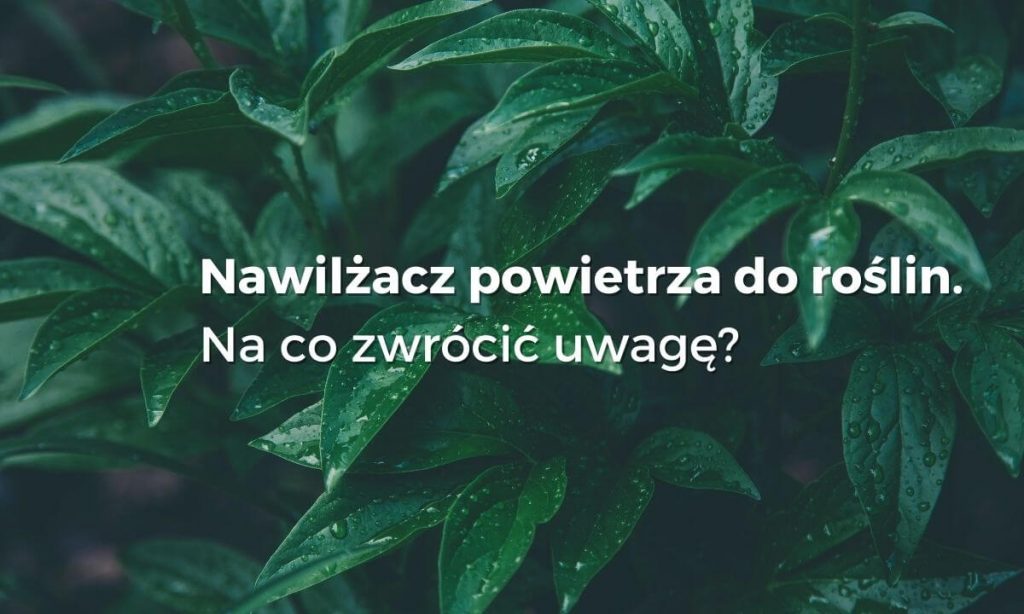 Nawilżacz powietrza do roślin