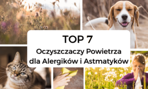 Oczyszczacz powietrza dla alergików i astmatyków – ranking skutecznych oczyszczaczy