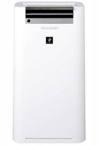 oczyszczacz powietrza Sharp UA-HG50