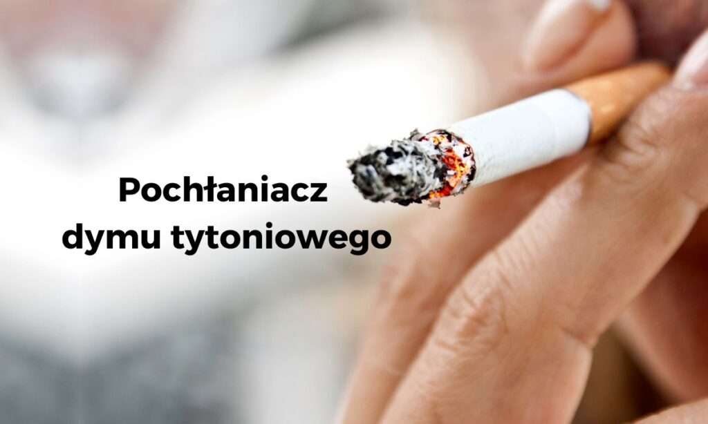 Pochłaniacz dymu tytoniowego – czy ma sens? Tak!