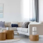 Philips Hu2510/10 stojący na podstawce. Źródło: Philips.pl